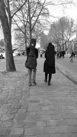 Rear view of women walking on zebra crossing