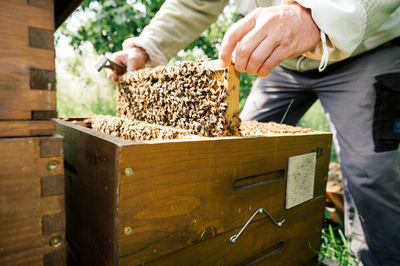 Midsection of man working at farm