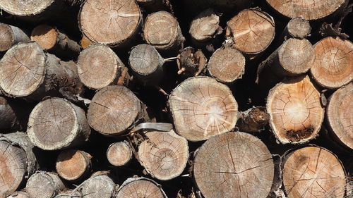 Full frame shot of logs in forest