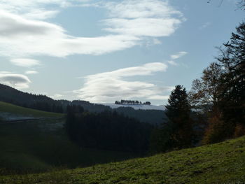 Trees on field against sky