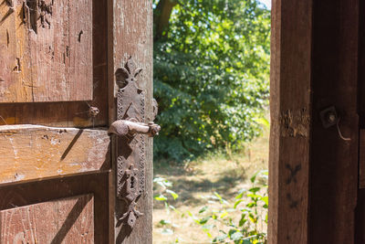 Close-up of old wooden door