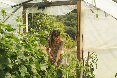 Young farmer working in greenhouse