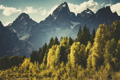 Scenic view of trees and mountains against sky