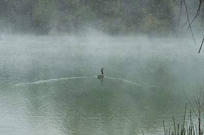 High angle view of man on lake