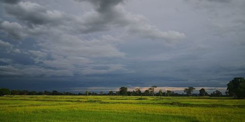 Scenic view of field against sky