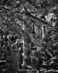 Building with trees in background