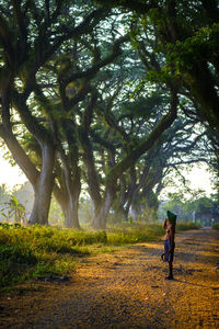 Man looking at trees while standing on road