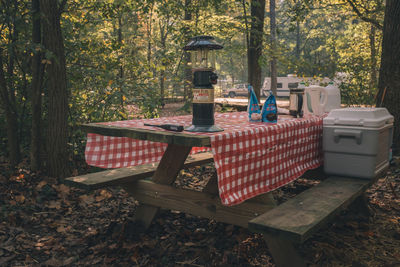 Chairs and tables in forest