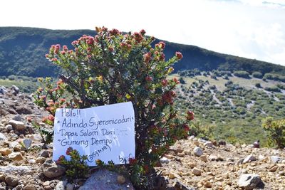 Information sign on rock against mountain