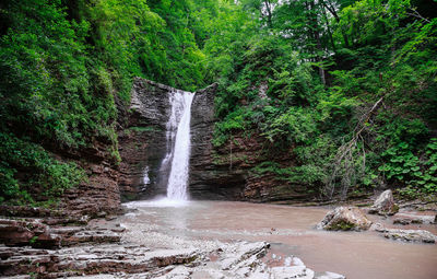Waterfall in forest