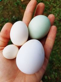 Close-up of hand holding eggs