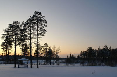 Trees on snow covered field against sky during sunset