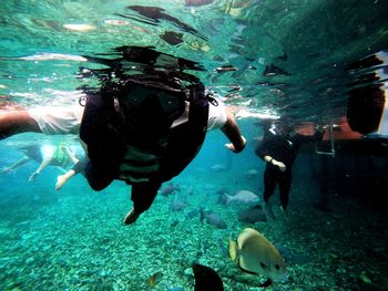 Scuba diving in sea