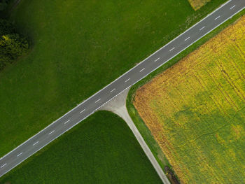 High angle view of agricultural field