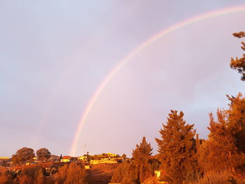 Scenic view of rainbow over trees against sky