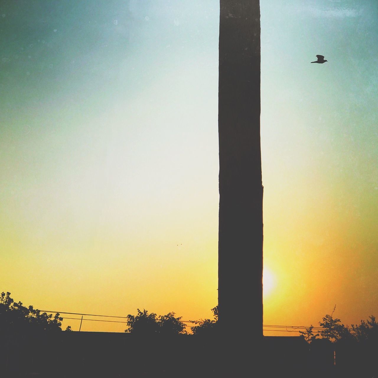 LOW ANGLE VIEW OF SILHOUETTE BIRD FLYING AGAINST SKY