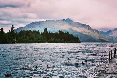 View of ducks swimming in lake against sky