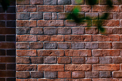 Close-up of green leaves on brick wall