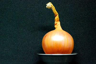 Close-up of pumpkins against orange wall