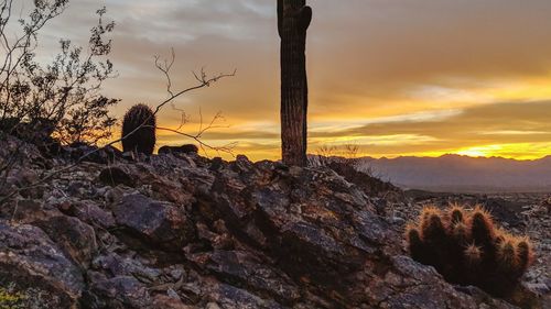 Rear view of woman sitting on rock looking at sunset