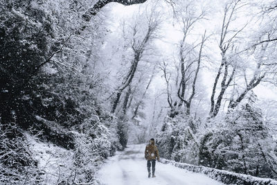 Rear view of man walking on snow covered landscape