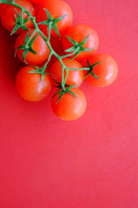 Directly above shot of tomatoes on table