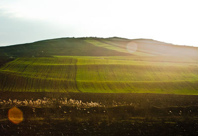 Scenic view of field against sky