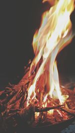 Close-up of bonfire at night