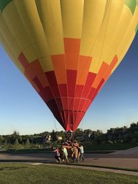 View of hot air balloons on field