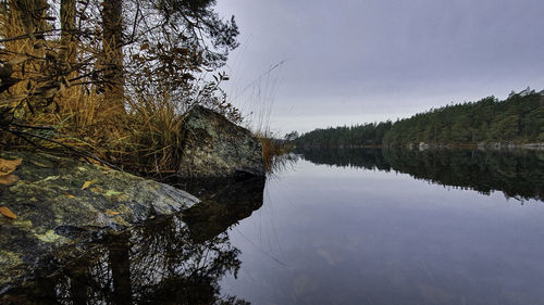 Scenic view of lake in forest against sky