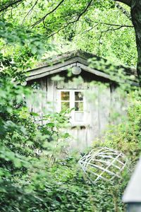 House with trees in background