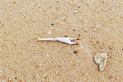 Sand on beach