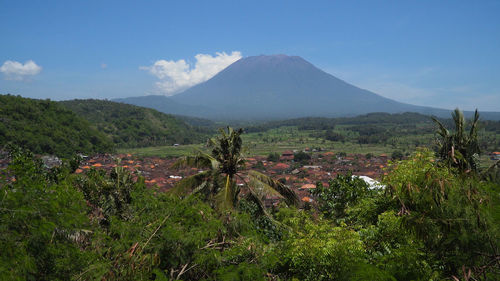 Town near volcano agung, rice terrace, farmlands, village, fields with crops