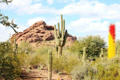 Panoramic view of landscape against sky