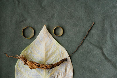 leaf