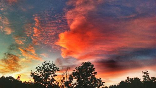 Low angle view of silhouette trees against orange sky