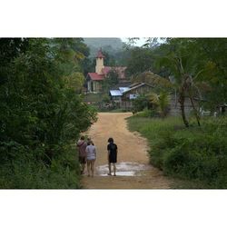 People walking on grass