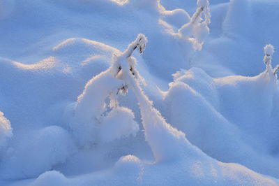 Shadows of sunlight in the winter snowpack