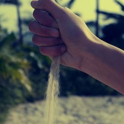 Close-up of hand holding leaf