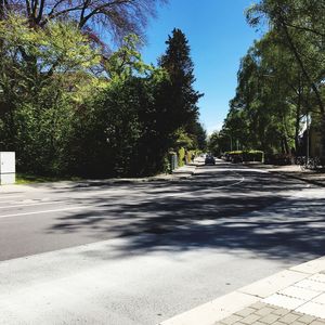 Road amidst trees against sky