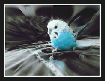 Close-up of object on the wall