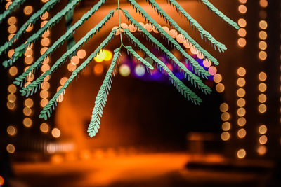 Close-up of illuminated christmas lights