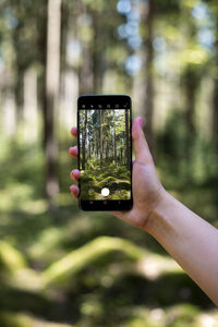 Cropped image of hand holding mobile phone