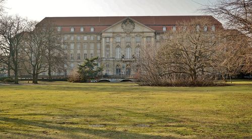 House and bare trees on lawn of building