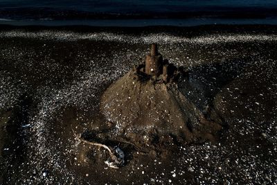 High angle view of starfish on beach