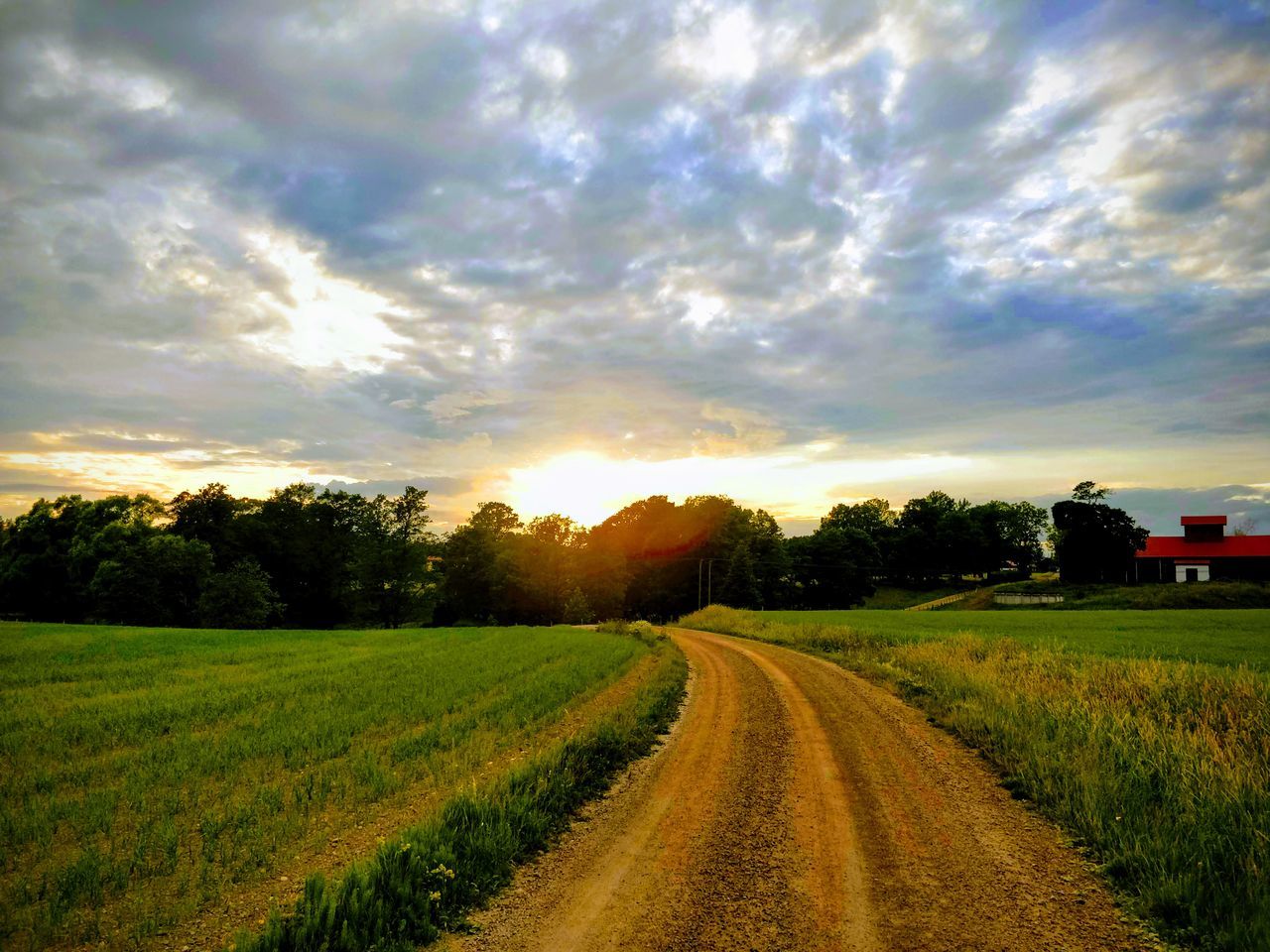 sky, cloud - sky, landscape, plant, field, beauty in nature, sunset, scenics - nature, land, environment, tranquility, tranquil scene, road, rural scene, grass, nature, tree, direction, the way forward, sun, no people, outdoors, bright