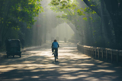 Rear view of man cycling on road by trees