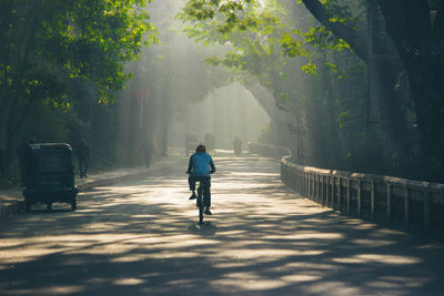 Rear view of man walking on tree