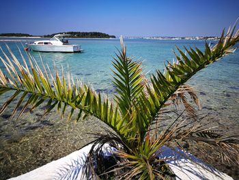 Scenic view of sea against clear sky