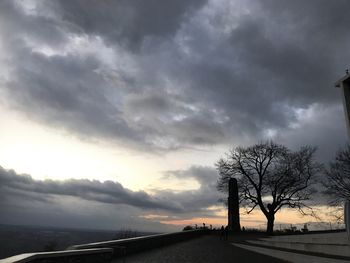 Bare tree by road against sky